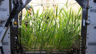 PC: NASA Scientists say human waste could help grow food on the Moon and Mars