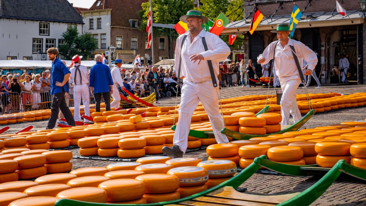 The guild of cheese carriers