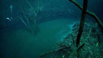 PC: Reddit The ‘sixth largest river’ on Earth is hidden 115 feet beneath the Black Sea