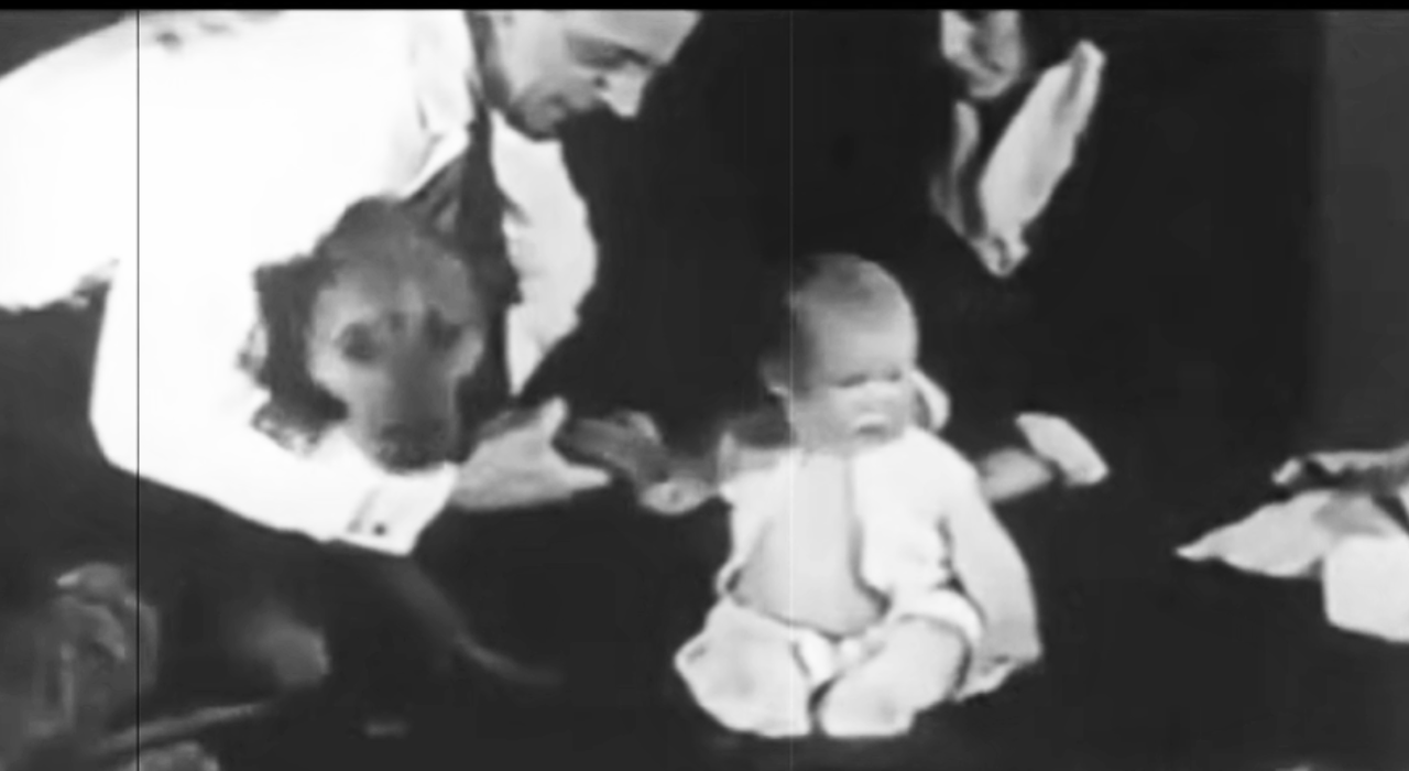 Before conditioning, the infant showed no fear toward animals, objects, masks, cotton wool, or burning newspapers/ Youtube Experiment