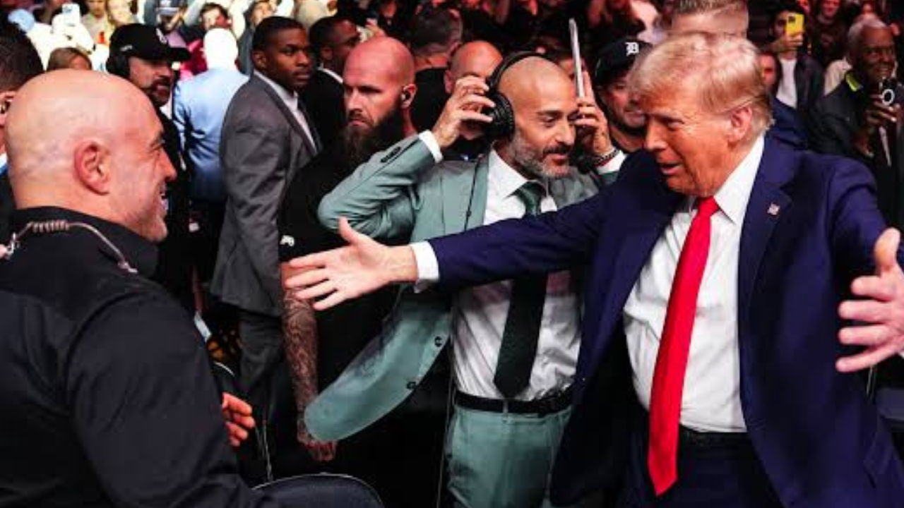 Ibogaine controversy grows after Joe Rogan shares details with Donald Trump sparking debate over PTSD treatment and health dangers