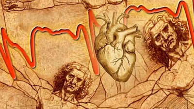 Leonardo Da Vinci drew this heart structure 500 years ago: Scientists may have just solved the mystery that may predict heart disease