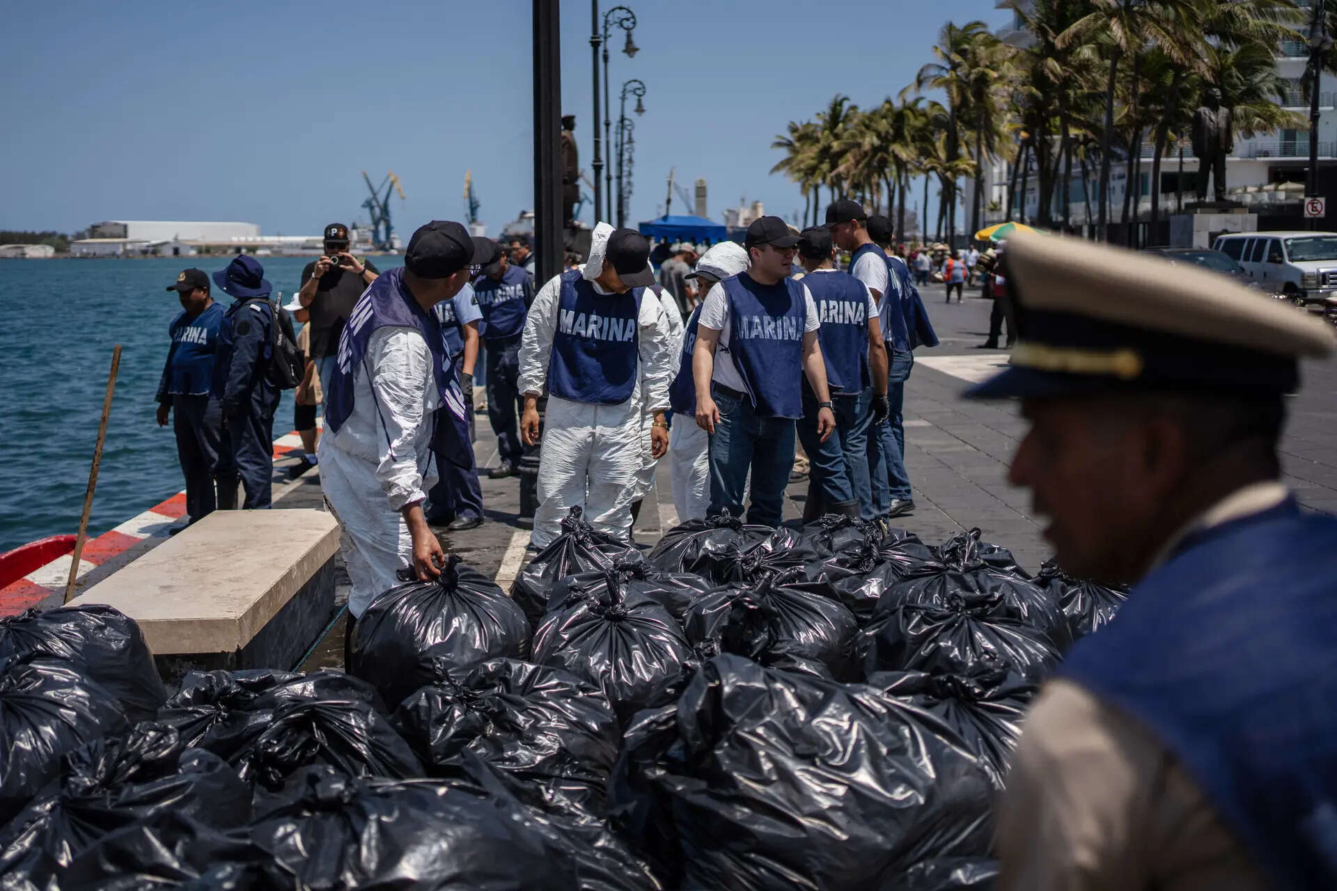 Bags filled with oil-stained sargassum collected by Mexican Navy sailors sit at a port in Veracruz, Mexico, Thursday, March 26, 2026, after Mexican authorities said an oil spill in the Gulf of Mexico originated from an unidentified vessel and two natural oil seeps. (AP Photo/Felix Marquez) Mexico Oil Spill