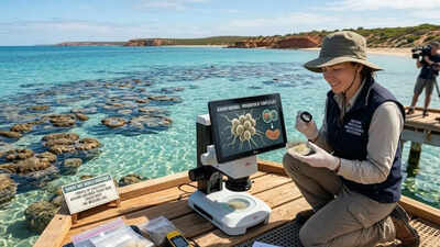 PC: Google Gemini Scientists in Australia have discovered a tiny microbe that could reveal the origin of human life