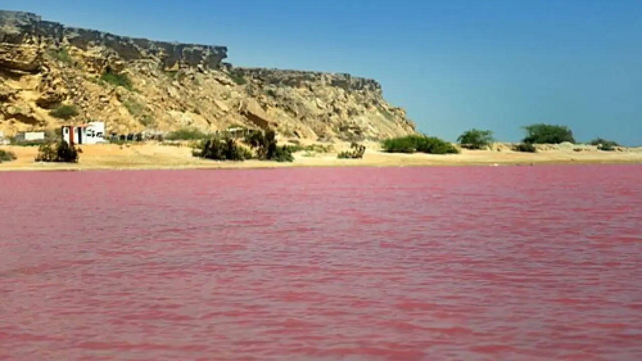 pc: wikipedia 10. Pink Lake, Australia