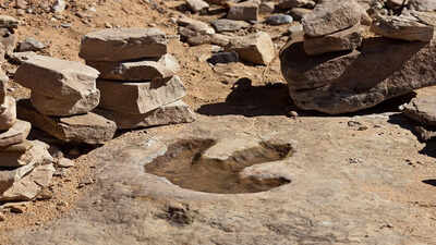 A remarkable dinosaur footprint, 220 million years old, was found by a young girl in Wales. This trace fossil offers insights into prehistoric life and animal behavior. Image Credits: Greg Willis from Denver, via Wikimedia Commons In 2021, a 4-year-old girl walking on a beach spotted a mark in a rock that turned out to be a dinosaur footprint