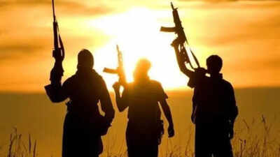 US, Nigeria launch fresh kinetic strikes on ISIS targets