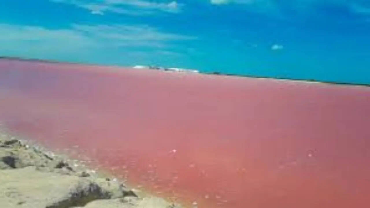 pc: wikipedia 3. Las Coloradas, Mexico