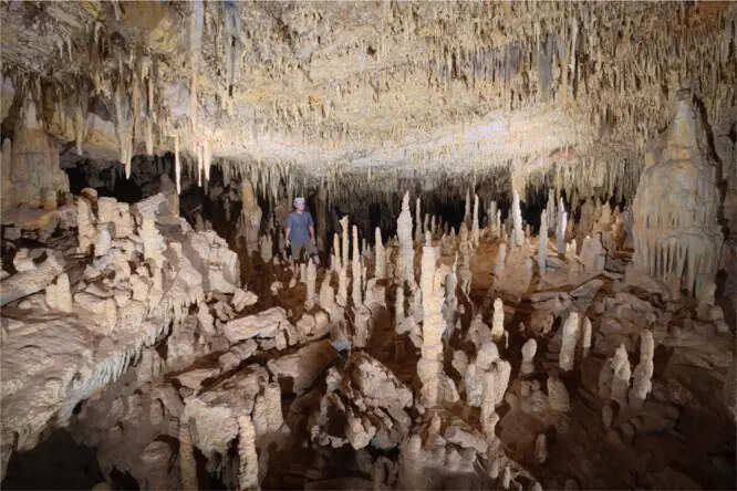 Explorers found an ancient marsupial lion skeleton in a Nullarbor Plain cave. This discovery offers a unique look at extinct life. The cave's stable environment preserved the fossil for millions of years. Image Credit: The antiquity of Nullarbor speleothems and implications for karst palaeoclimate archives Fig 2 41598_2018_37097_Fig2_HTML