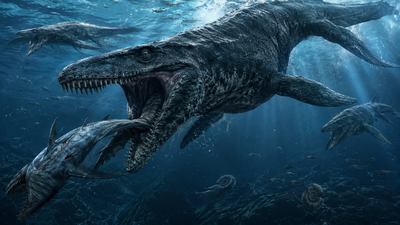 Representative image 43-foot ‘marine T rex’ bigger than great white sharks and more brutal than any mosasaur discovered in Texas
