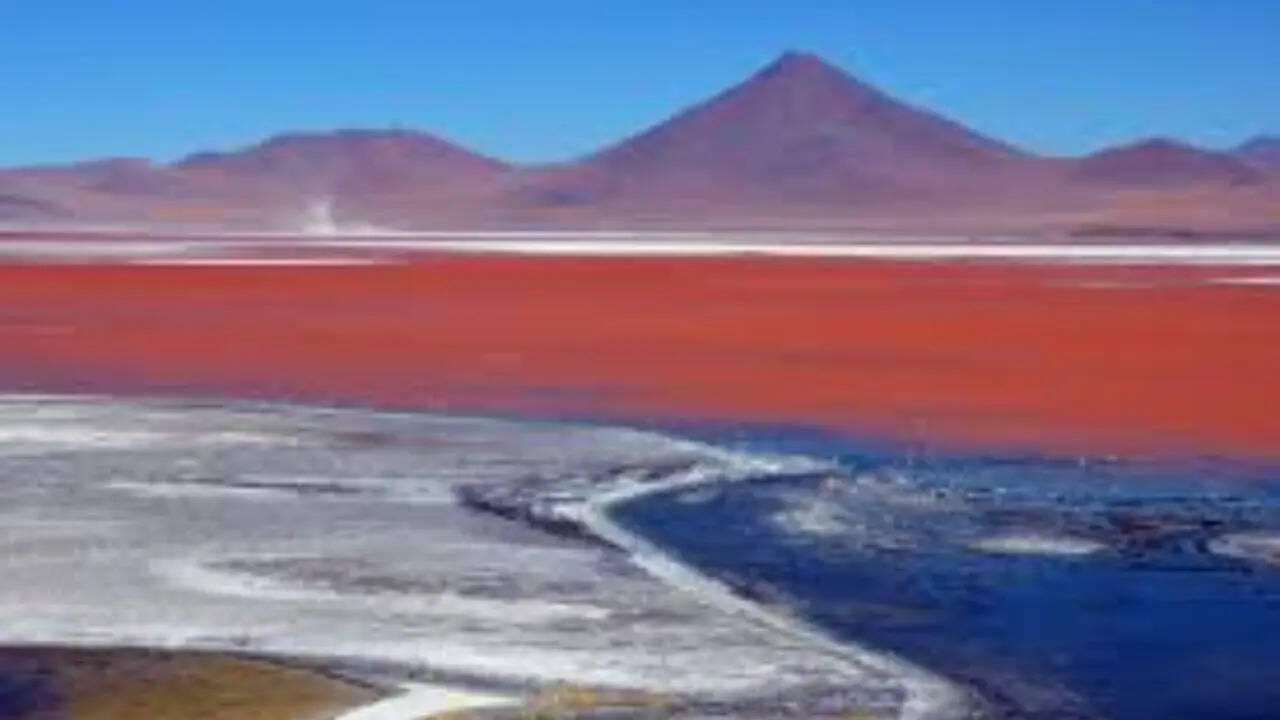 pc: wikipedia 5. Laguna Colorada, Bolivia