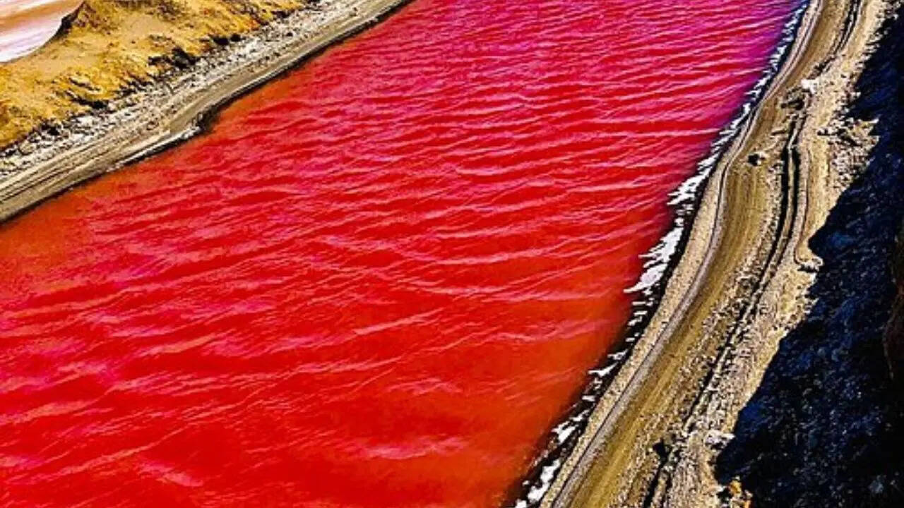 pc: wikipedia 6. Dusty Rose Lake, Canada