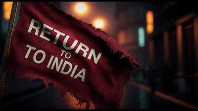 A Redditor shared the experience of living in India for a year after 12-year stay in the US. 'I have realized something': Redditor shares one-year experience of living in India after spending 12 years in US