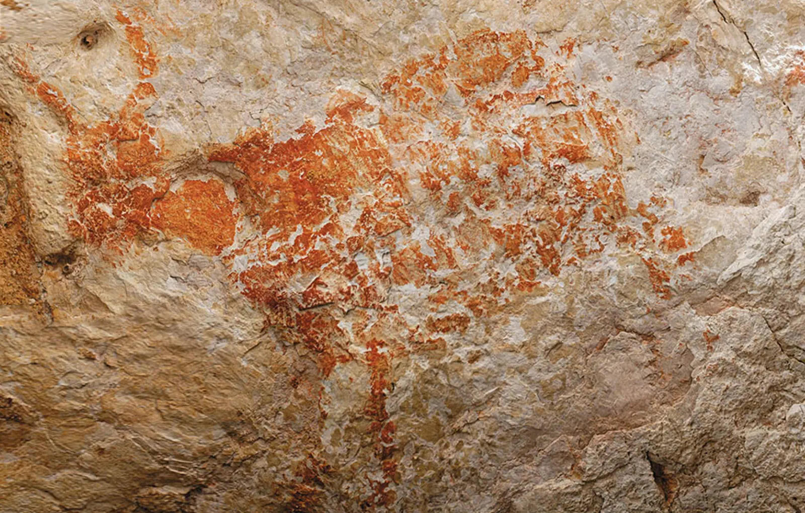 One of the oldest known figurative paintings, a depiction of an unknown bovine, was discovered in the Lubang Jeriji Saléh cave and dated to be more than 40,000 (perhaps as old as 52,000) years old. An Unknown Bovine
