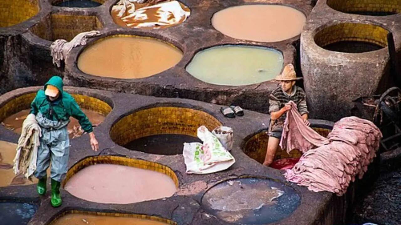 pc: wikipedia Chouara Tannery in Fez: The oldest and smelliest leather-making site in Morocco
