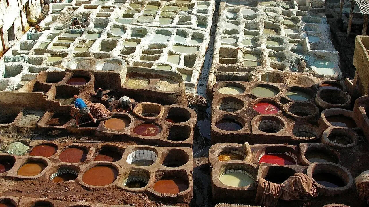 pc: wikipedia Chouara Tannery in Fez: The oldest and smelliest leather-making site in Morocco