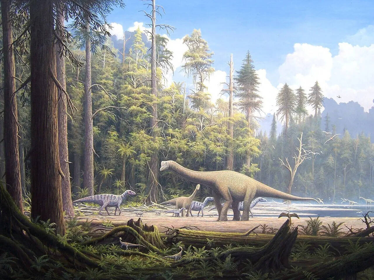 Scientists are studying the ancient track to understand dinosaur movement. The discovery emphasizes that important finds can be made through simple observation, reminding us of Earth's deep history. Image Credits: Gerhard Boeggemann, via Wikimedia Commons Europasaurus_holgeri_Scene_2