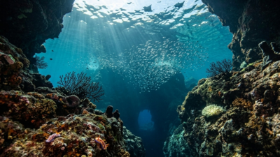 The 5 deepest ocean trenches on Earth: Why one basin owns every single slot