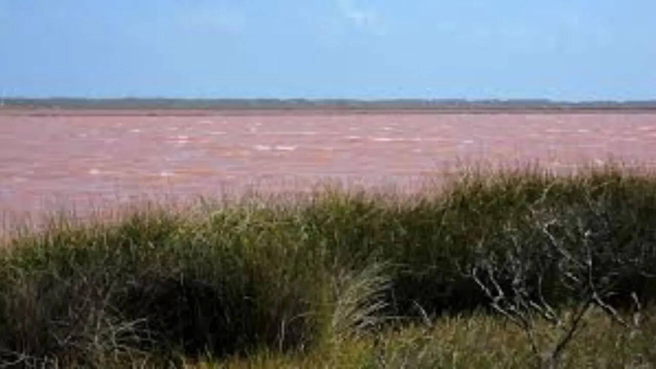 pc: wikipedia Hutt Lagoon, Australia