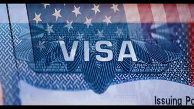Immigration attorney Emily Neumann explained what F-1 students and OPT employers must know as ICE announced a major crackdown on this program. 3 things OPT employers should check as ICE announces crackdown on 10,000 foreign students
