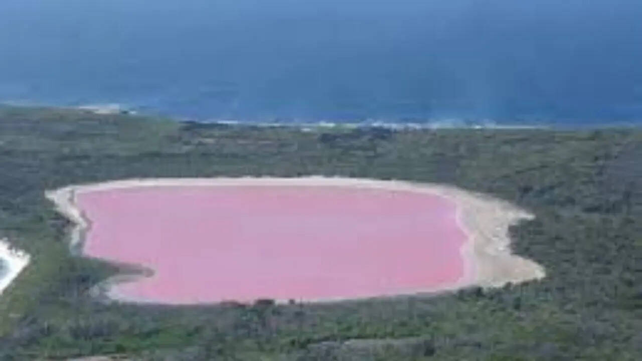 pc: wikipedia Lake Hillier, Australia