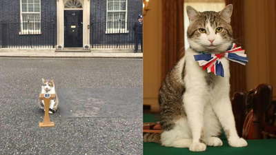 Larry the Cat ‘Whether Starmer stays or goes...’: Larry the Cat’s viral post steals spotlight amid UK political drama