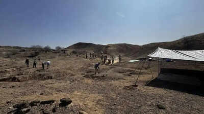 ZME Science Oldest evidence of human cremation discovered: Burned 100,000-year-old Homo sapiens bones found in Ethiopia’s Afar Rift