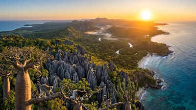 Remained isolated for 180 million years: How Madagascar Island became a hotspot for Earth’s unique creatures
