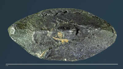 PC: Armstrong Institute of Biblical Archaeology This ancient bullet carried a secret 2,100-year-old Greek word that shocked experts worldwide revealing ‘sarcastic’ war message