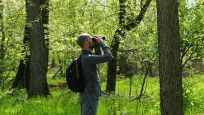 <u></u>Crowdfunding helps Serbian birdwatchers save woodland” title=”</p>
<p>Nightingale’s Forest is a rare patch of thick in the farming region</p>
<p>” decoding=”async” fetchpriority=”high”></p>
</div>
<div>
<p><span title=
