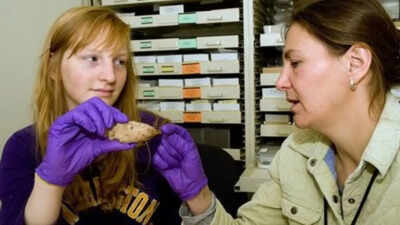 PC: University of Washington What looked like ordinary rubble on a university campus turned out to be a 6,700-year-old Native American artefact