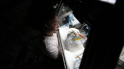 Image: NASA Why scientists are sending stem cells to space to fight cancer and deadly diseases