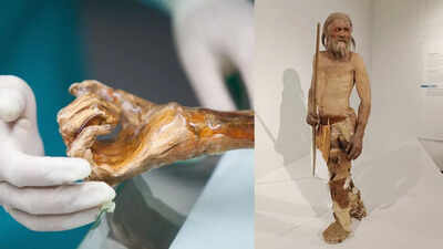 5300-year-old Europe’s oldest mummy may be ‘alive’: Scientists reveal shocking microbial activity
