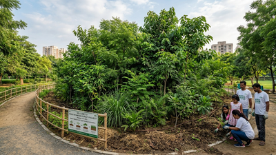 Image: AI Generated From Tokyo to Delhi: How fast growing 'Miyawaki forests' are reshaping urban landscapes worldwide