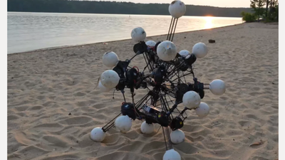 Image: Duke University Meet Argus: The sea-urchin robot with 20 eyes and legs that has rewritten the rules of how a robot should be built