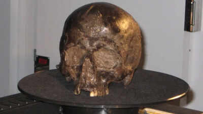 PC: BBC Scientists found a 2,600-year-old brain inside an Iron Age skull and it was still intact