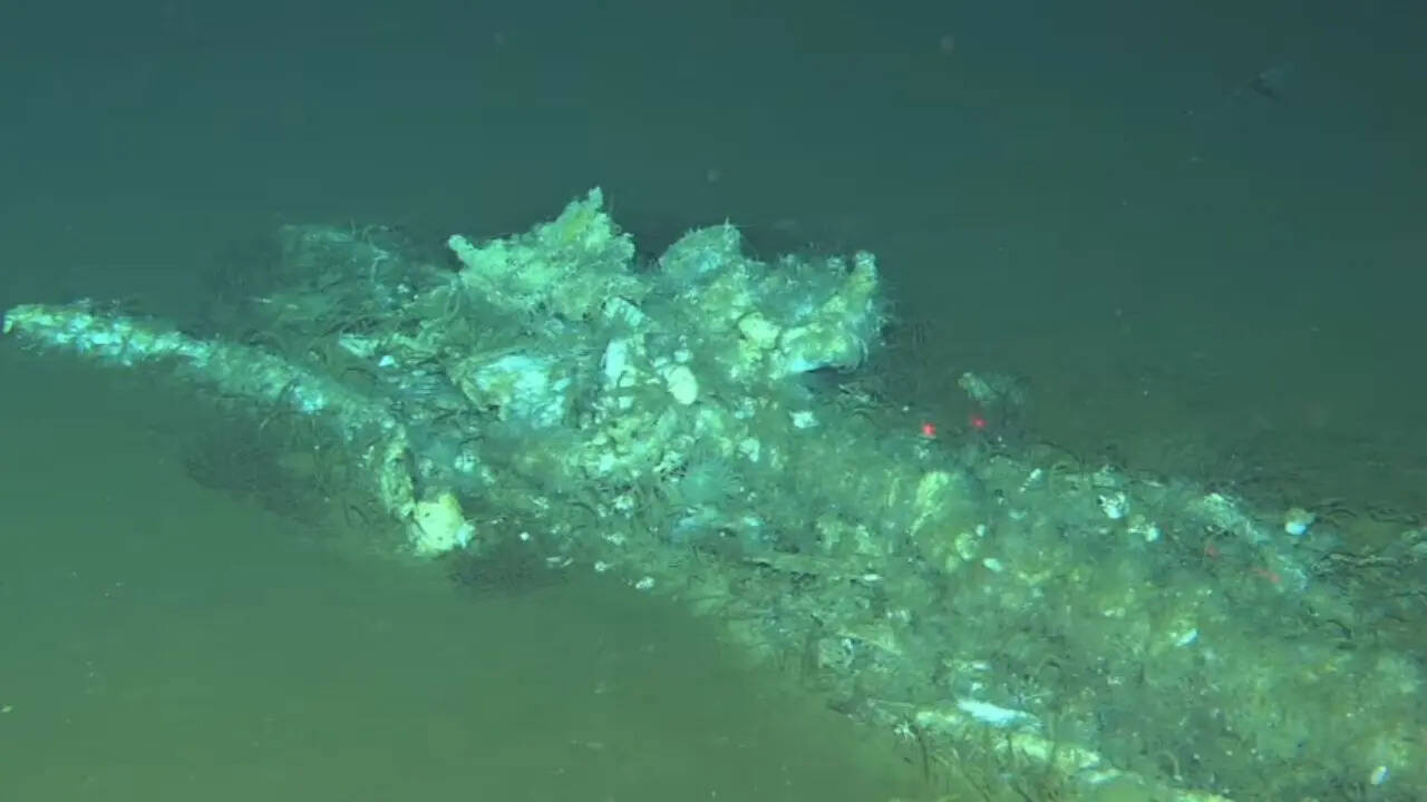 PC: ABC Scientists map the largest 'whale graveyard' in the deep Indian Ocean zone