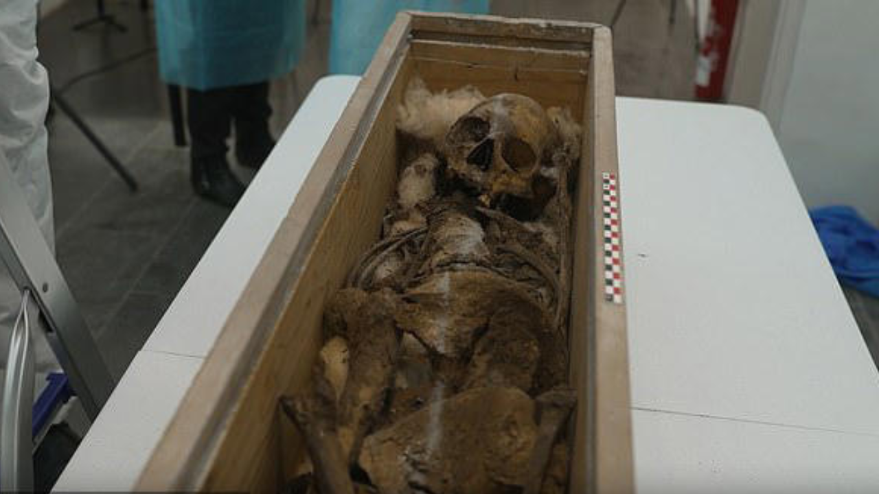 The wooden box containing Queen Elisenda's skeletal remains. The wooden box containing Queen Elisenda's skeletal remains.