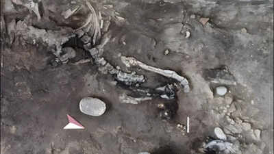 PC: Pompeii E-Journal Two skeletons found inside a Pompeii bakery may be the key to an unsolved eruption mystery hidden beneath for nearly 2,000 years